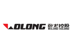 武漢臥龍電機(jī)有限公司