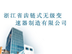 浙江省齒鏈式無級變速器制造有限公司