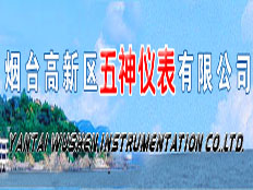 煙臺高新區(qū)五神儀表有限公司