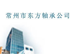 常州東方軸承公司