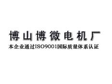 博山博微電機廠