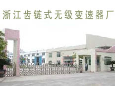 浙江齒鏈式無級變速器廠