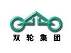 山東雙輪集團(tuán)股份有限公司