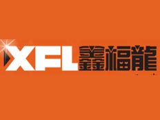鑫福龍國(guó)際（控股）集團(tuán)有限公司