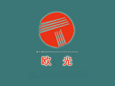 上海歐光電子科技有限公司