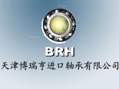 天津博瑞亨進(jìn)口軸承有限公司