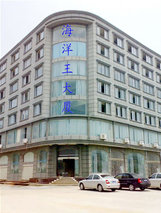 樂清市海洋王照明工程責(zé)任有限公司