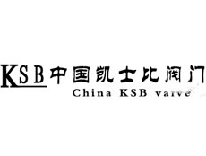 深圳凱士比閥門有限公司