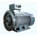 畢捷 Y2系列高效（EFF1）標(biāo)準(zhǔn)三相異步電動機(jī)