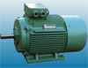 萬(wàn)高 Y2系列三相異步電動(dòng)機(jī)