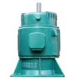 東方 YJL系列軸伸向上的立式鼠籠型三相異步電動機