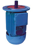 臥龍電氣 Y2系列三相異步電動機(jī)