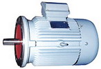 臥龍電氣 NEMA標(biāo)準(zhǔn)系列三相異步電動機(jī)