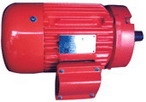 臥龍電氣 NEMA標(biāo)準(zhǔn)高效三相異步電動機(jī)