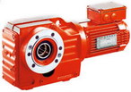 威爾傳動(dòng) EWS斜齒輪蝸輪減速機(jī)