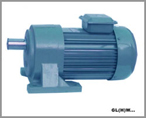 浙鑫傳動 G系列硬齒面斜齒輪減速機(jī)