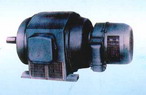 柳州佳力 JS2 JR2 系列中型低壓三相異步電動(dòng)機(jī)