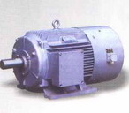 柳州佳力 YVF系列（IP54）變頻調(diào)速三相異步電動(dòng)機(jī)