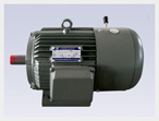 北辰 YEJ系列電磁制動(dòng)三相異步電動(dòng)機(jī)