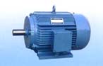 永發(fā)機(jī)電 YDT系列（IP44）風(fēng)機(jī)、泵用變極多速三相異步電動機(jī)