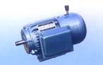 永發(fā)機(jī)電 YEJ系列（IP44）電磁制動(dòng)三相異步電動(dòng)機(jī)
