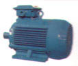 明正維元 永磁調(diào)速電機(jī)—— 異步啟動(dòng)永磁同步電機(jī)
