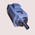 新動(dòng)力 大功率無刷直流電機(jī)