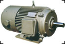 新動(dòng)力 稀土電機(jī)