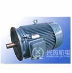 興瑪 SZY系列注塑機(jī)專(zhuān)用三相異步電動(dòng)機(jī)