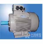 興瑪 NEMA系列三相異步電動(dòng)機(jī)
