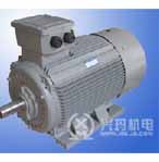 興瑪 Y2系列（IP54）三相異步電動(dòng)機(jī)