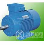 興瑪 YLY系列糧油機(jī)械三相異步電動(dòng)機(jī)