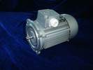 新微電機(jī) YS（AO2）系列三相異步電動(dòng)機(jī)