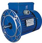 臺州清華 YC系列單相電容啟動電機(jī)