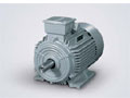 西門(mén)子 1LG0 Standard Motor