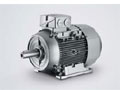 西門(mén)子 1LE1、1LA7、1LA9、1LG4、1LG6 系列低壓交流電機(jī)