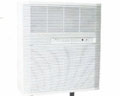 動(dòng)力源電子空氣凈化機(jī)自循環(huán)KJFQ1102系列