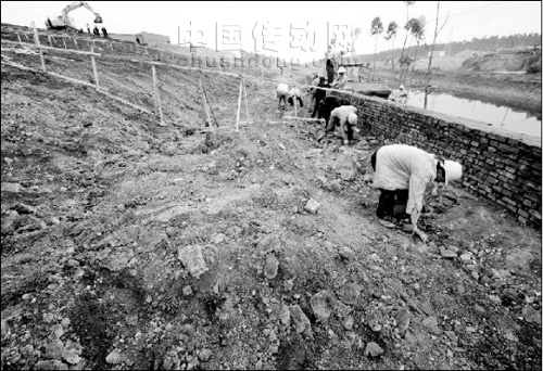 云南興隆村，遭受鉻渣污染，無辜者深受鉻污染之苦，被大家戲稱為“癌癥村”的興隆村進(jìn)入公眾視線